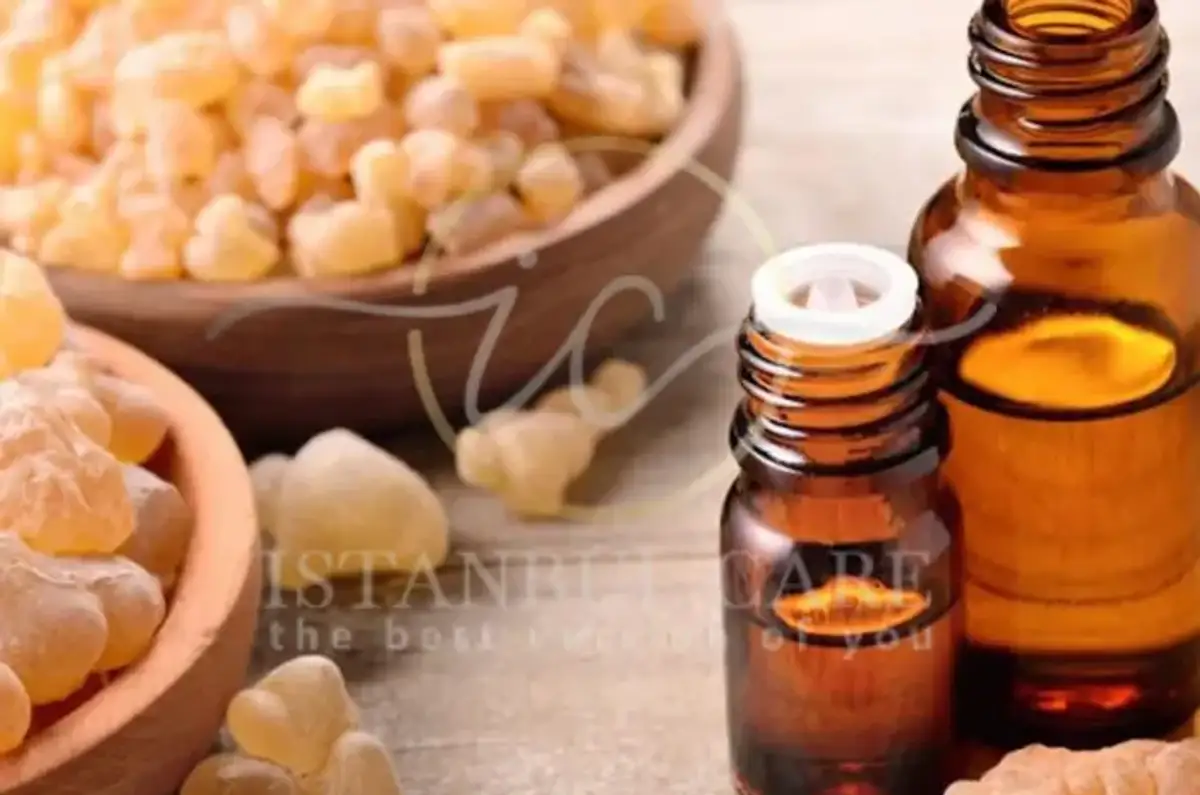 Frankincense Oil Benefits for Hair Growth and Scalp Health