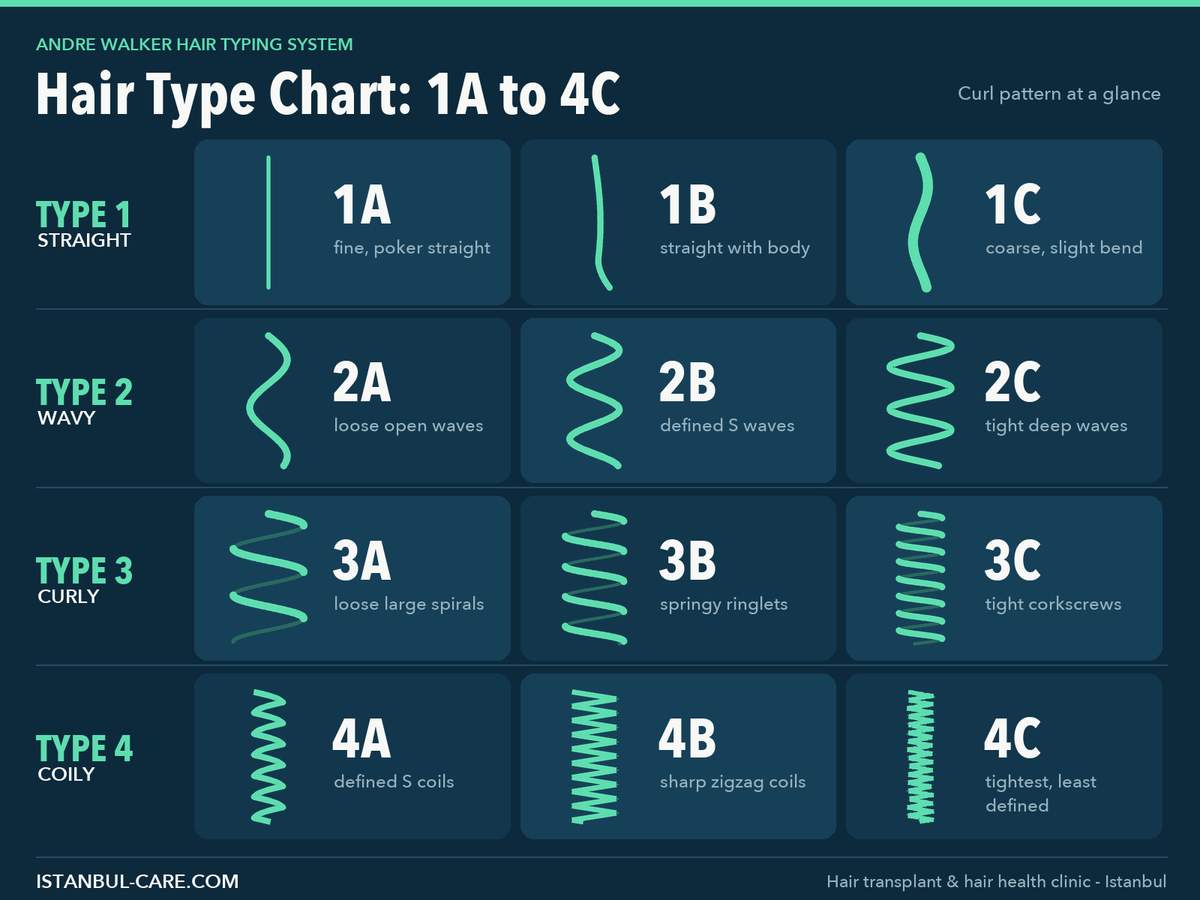 مخطط أنواع الشعر يوضح جميع الأنواع الاثني عشر من 1A المستقيم إلى 4C شديد التجعيد — إسطنبول كير
