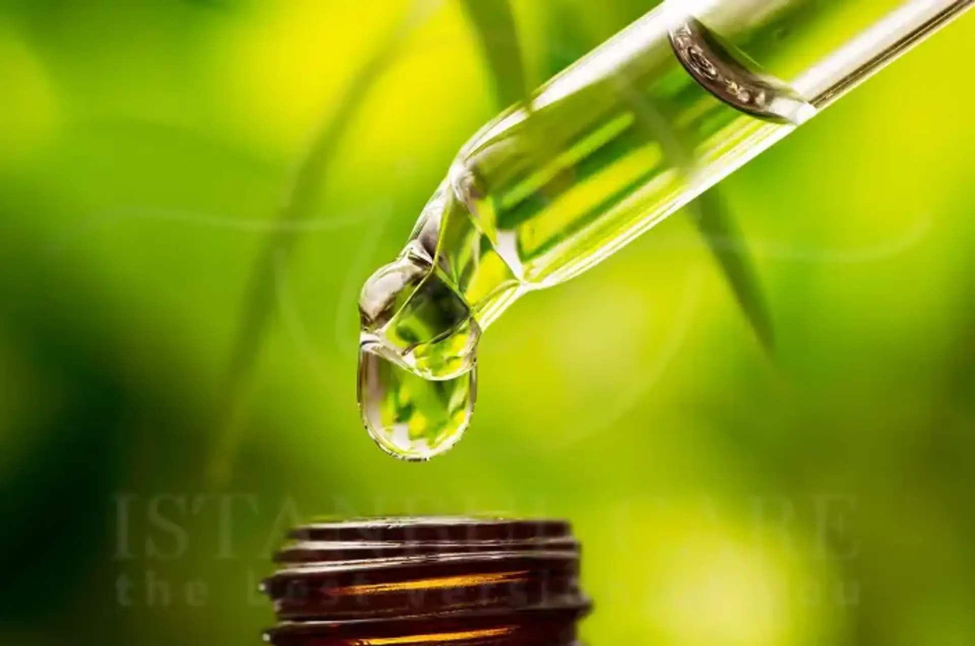 Tea Tree Oil for Hair Benefits Uses and Safety Tips