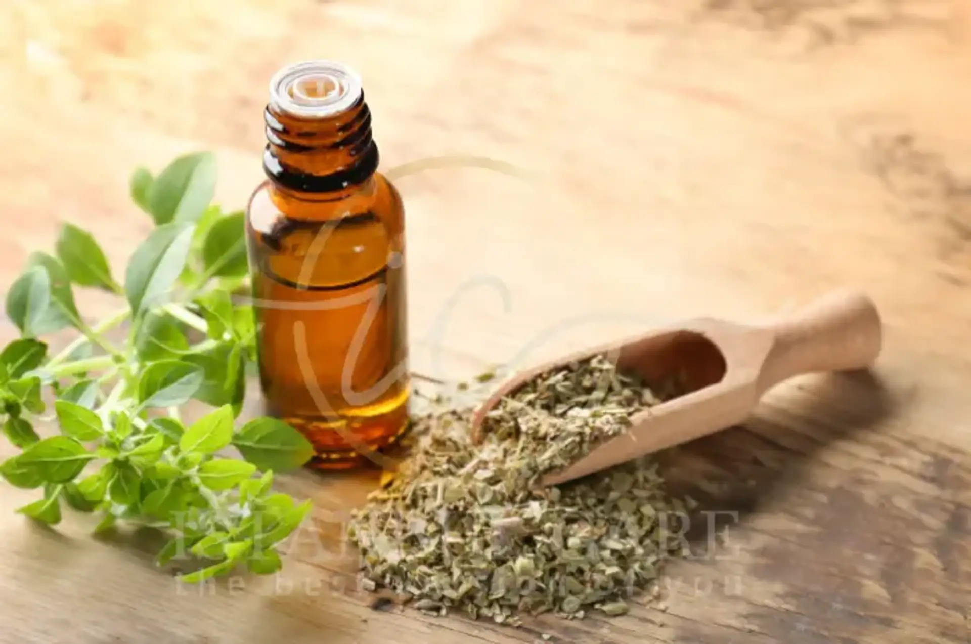 Oregano-Öl für Haarwachstum Vorteile und Tipps zur sicheren Anwendung