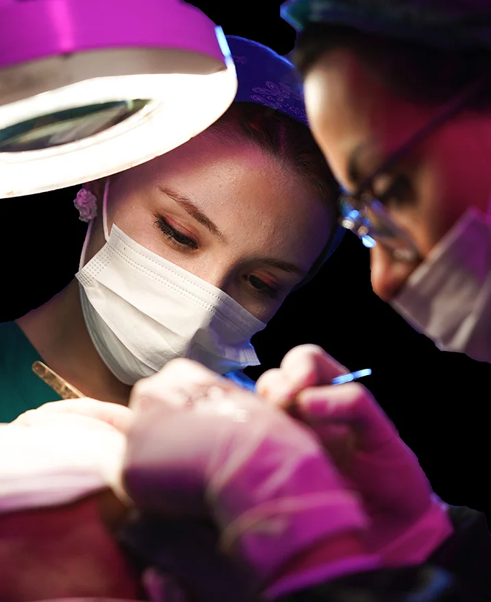 Ekstraktimi i foliculave nga zona donuese