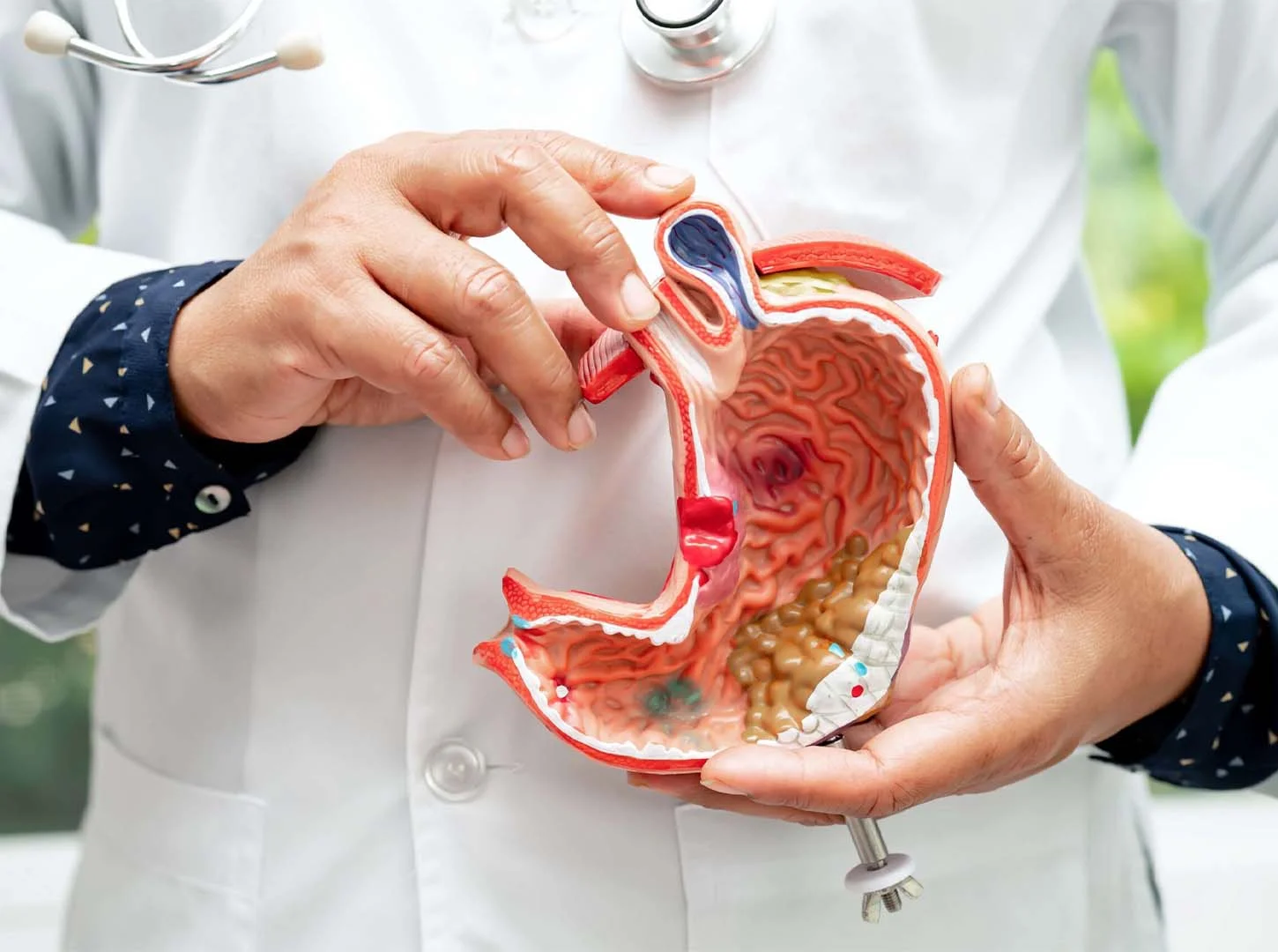 Çfarë ndodh gjatë procedurës?