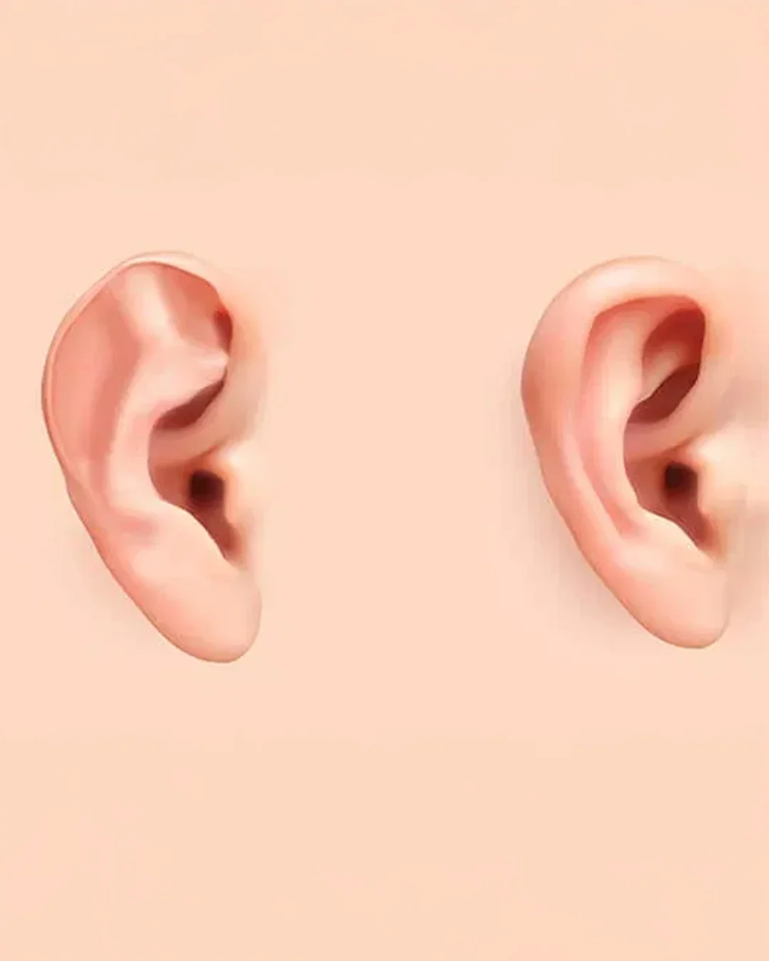 Was ist an der Otoplastik beteiligt?