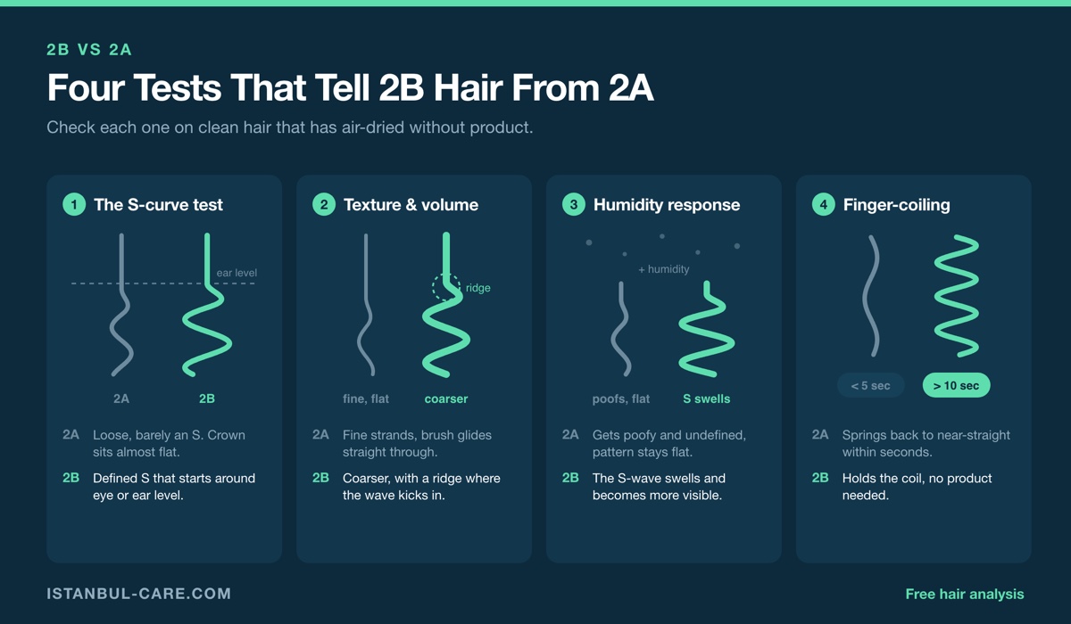 Four-panel diagram comparing 2A and 2B hair: the S-curve test with 2A almost flat at the crown and 2B forming a defined S at ear level, texture and volume, humidity response, and the finger-coiling test where 2B holds a coil over ten seconds.