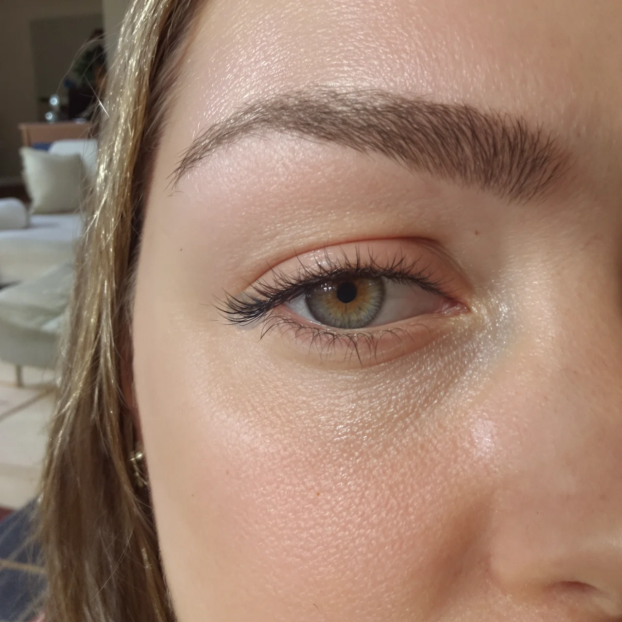 Close-up of an eyebrow showing new short hairs and older hairs at different stages of the eyebrow growth cycle