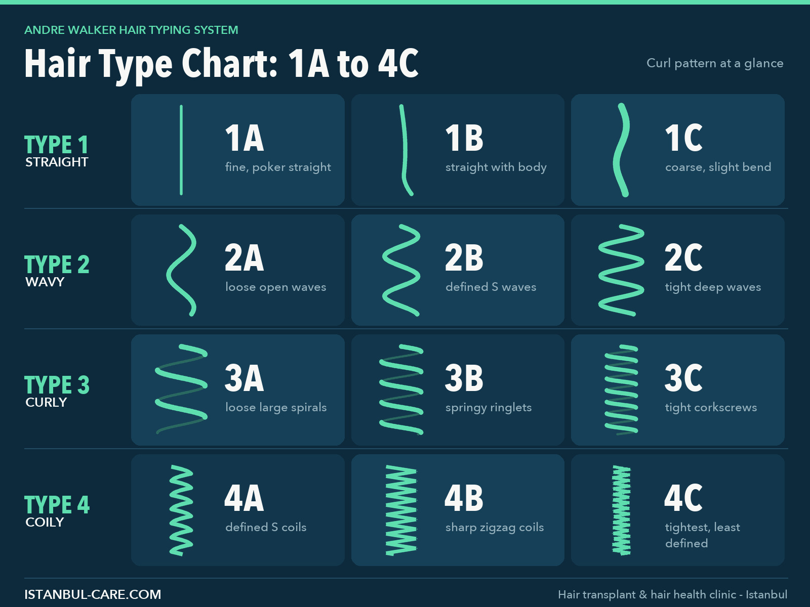 Hair type chart showing all 12 types from 1A straight to 4C coily — Istanbul Care