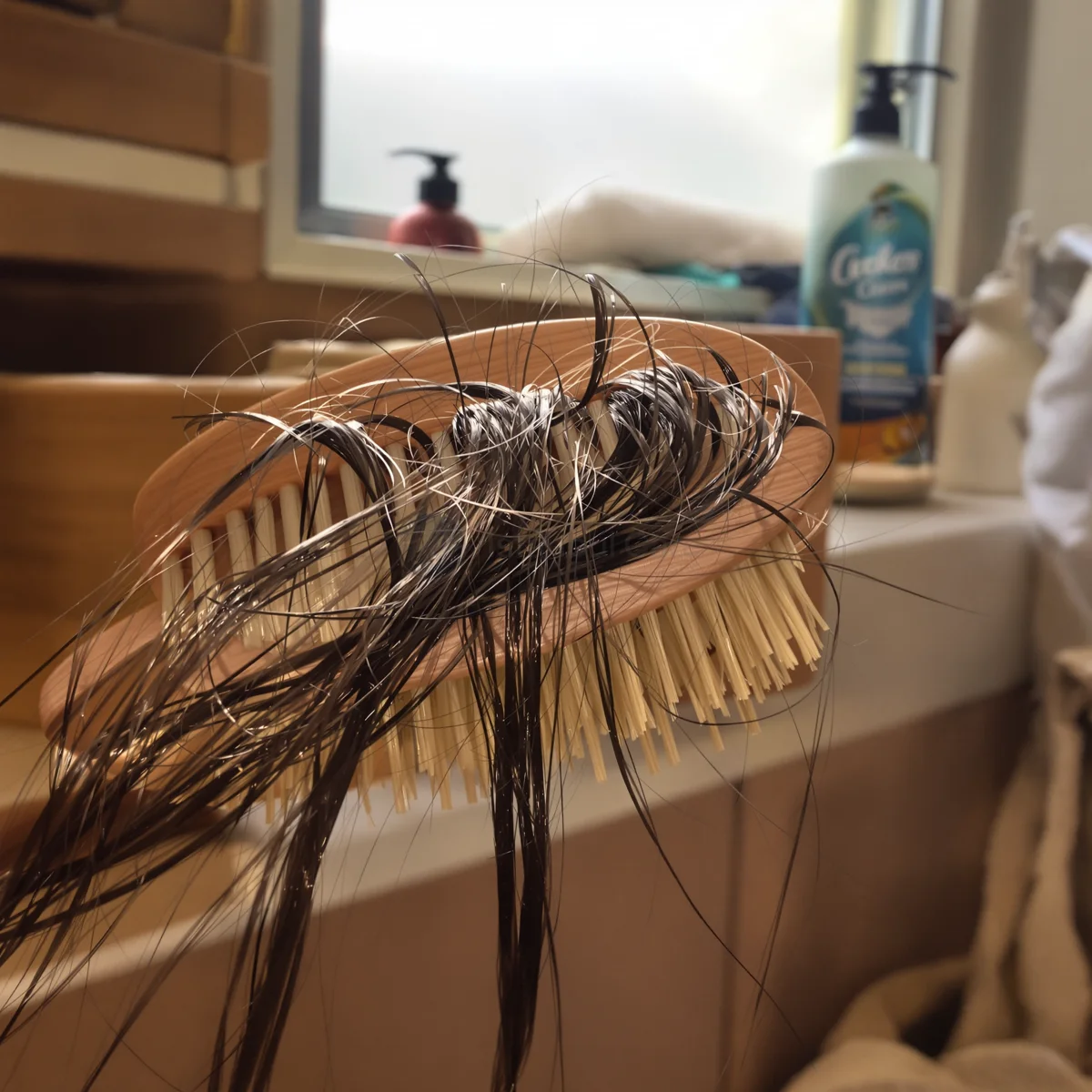 Hairbrush filled with shed strands, a common sign of hormonal hair loss