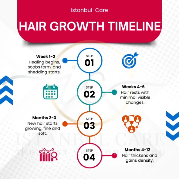 hair-growth-timeline-istanbul-care hair transplant recovery stages