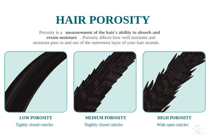 hair care for low porosity hair care for low porosity