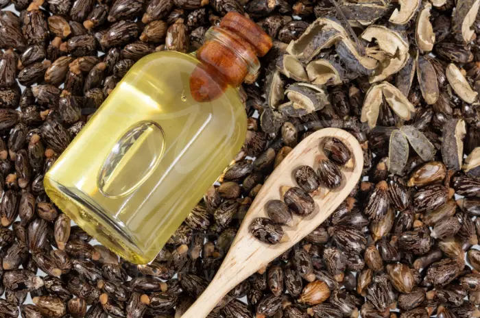 Benefits and Best Uses of Castor Oil for Hair Health