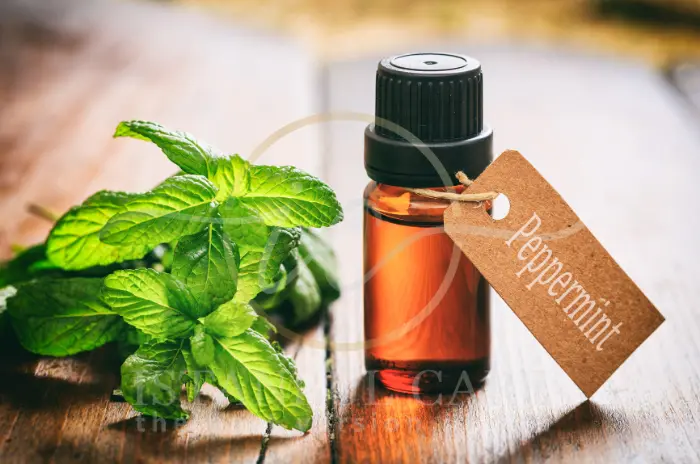 peppermint oil peppermint oil