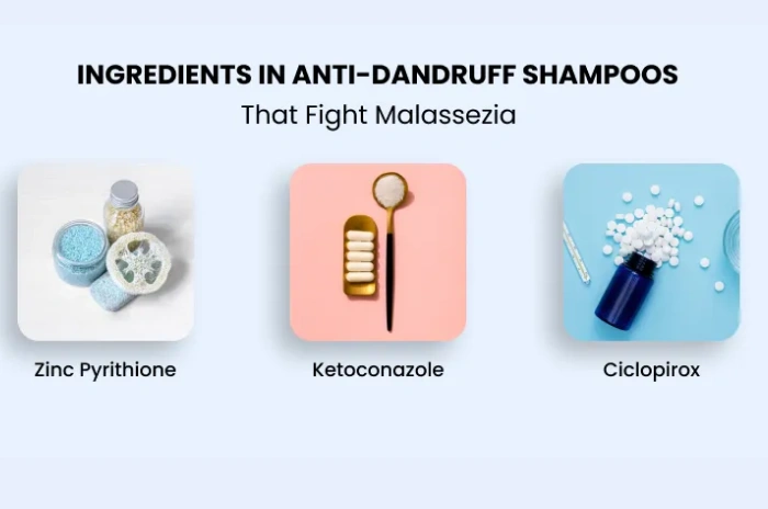 shampoo for dry scalp shampoo for dry scalp