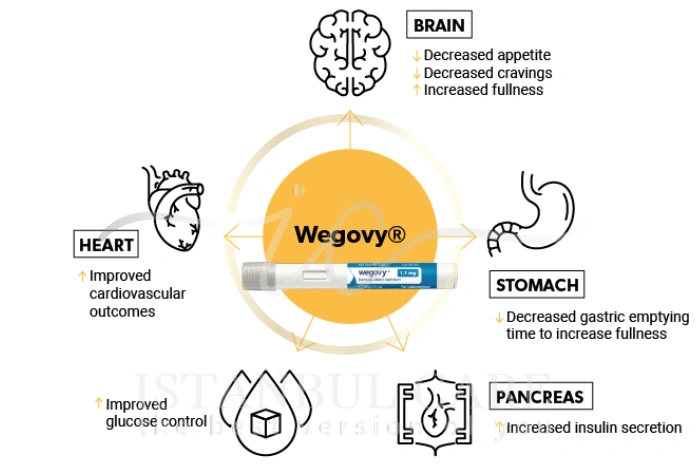 Wegovy side effects Wegovy side effects
